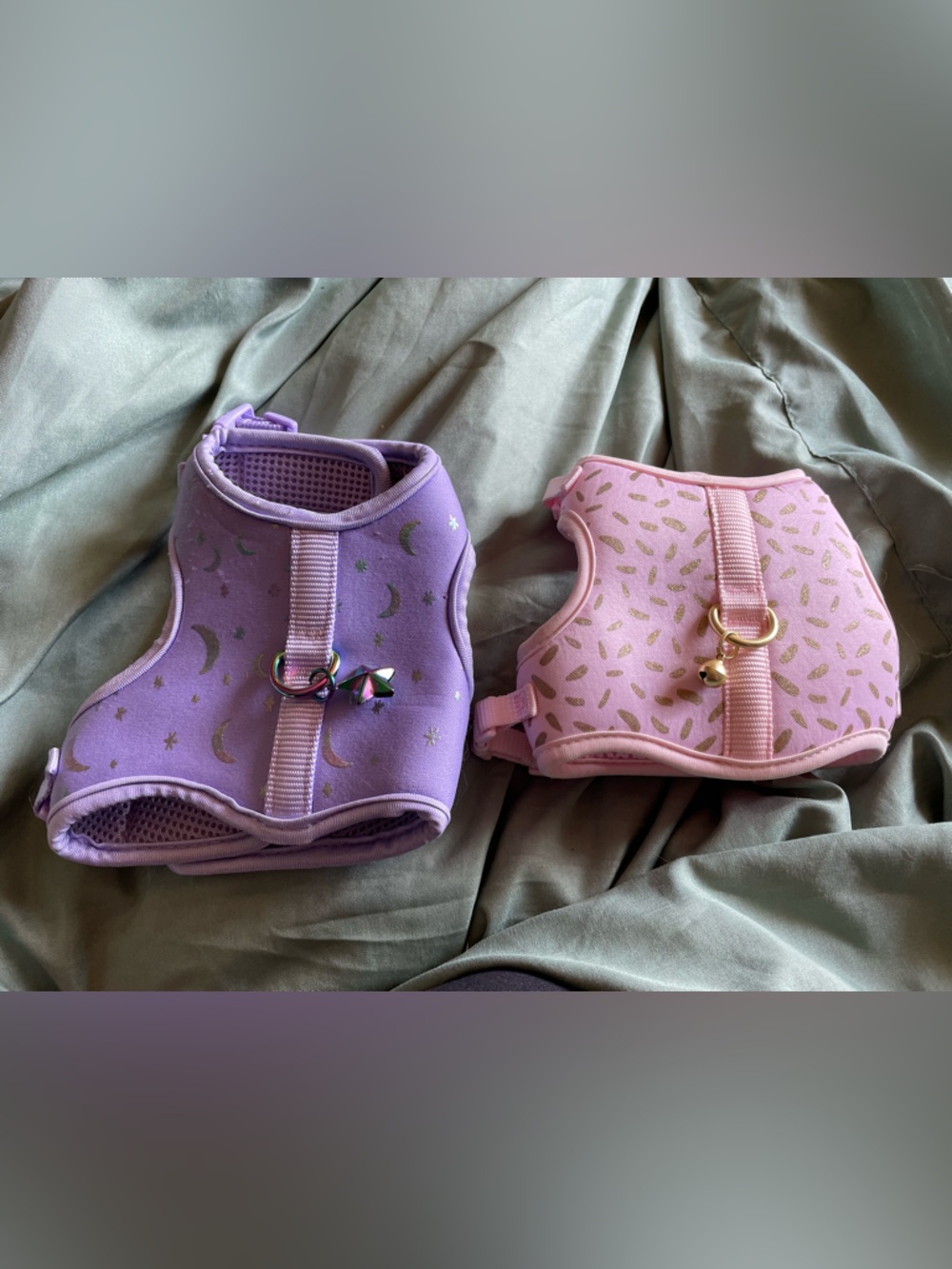 NEW 2 Kitten Collars